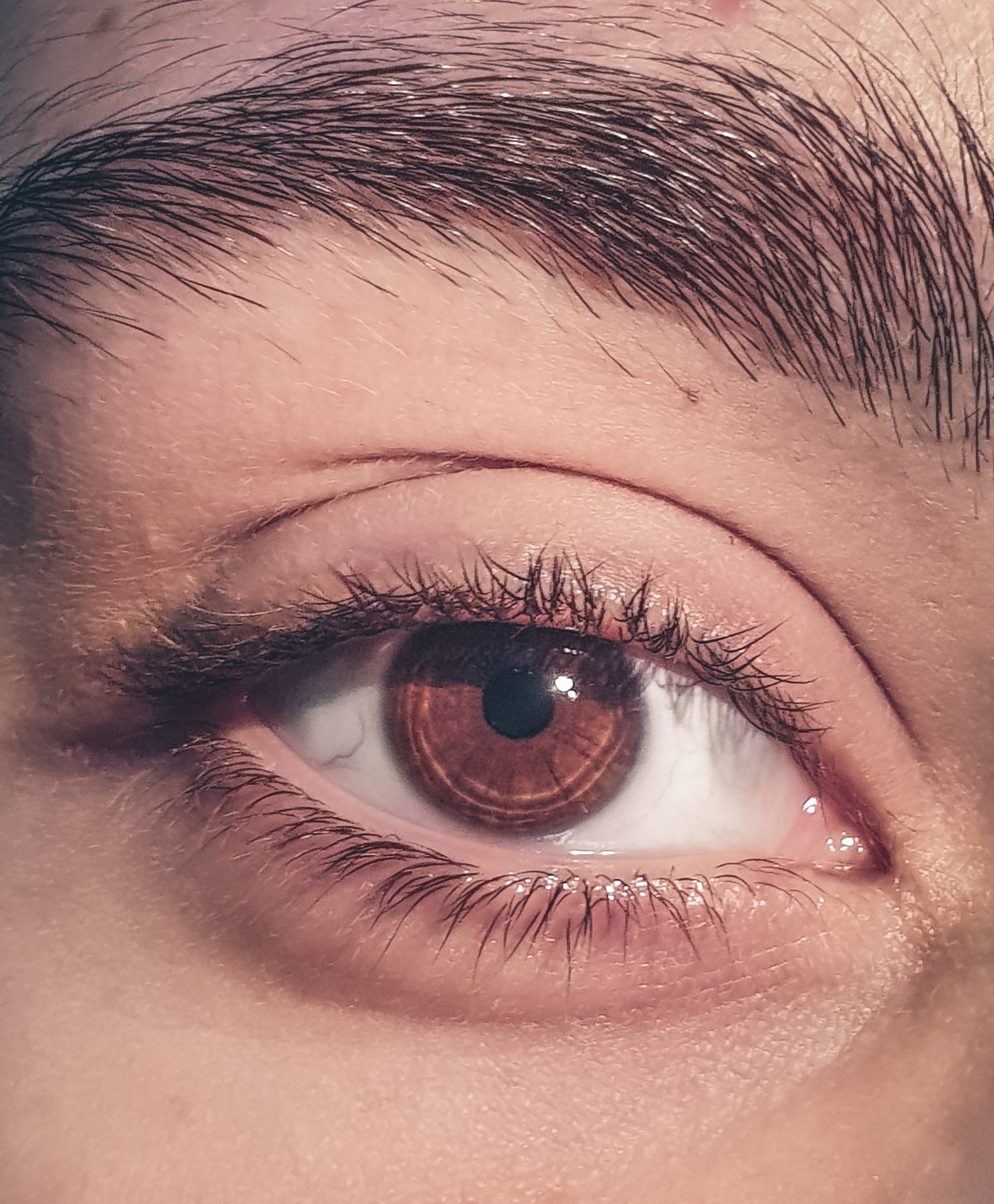 Eyelash Tint