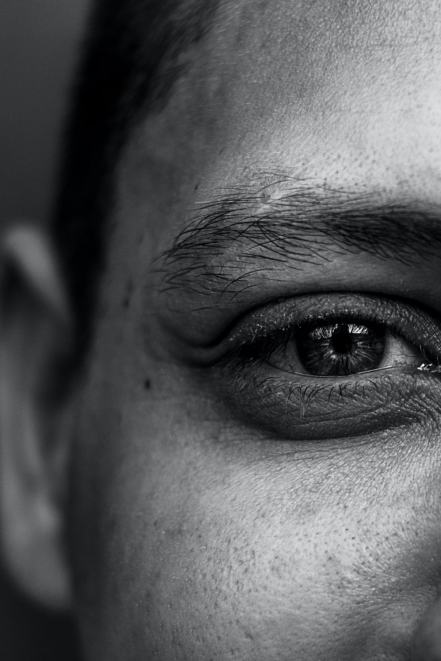 Men's Eyebrow